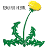 Dandelion ReachForthesun