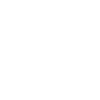 Bière et husky sibérien