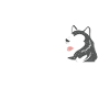 Dieu m’envoie un husky sibérien