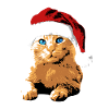 Cat Blue Eyes Christmas Hat Christmas
