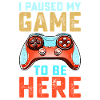 I Paused My Game To Be Here, Funny Retro Vintage V