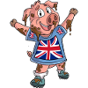 Fan Pig England