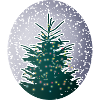 illuminated Christmas tree in the snow