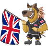 England Rasta Dog
