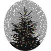 beleuchteter Weihnachtsbaum im Schnee