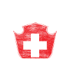Switzerland Neutrality Gift Idea