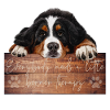 Berner Sennenhund