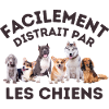 Amoureux de chiens 2