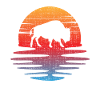 Buffalo
