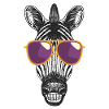 Zebra Mit Sonnenbrille