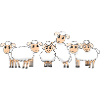 Lamb