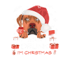 Rhodesian Ridgeback Weihnachtsmarkt