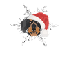 Wire-haired Dachshund Merry Christmas