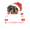 Rauhaardackel Weihnachtsmarkt