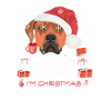 Rhodesian Ridgeback Weihnachtsmarkt