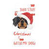 Wire-haired Dachshund Merry Christmas