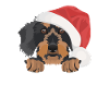 Wire-haired Dachshund Merry Christmas