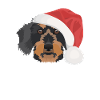 Wire-haired Dachshund Merry Christmas
