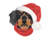 Wire-haired Dachshund Merry Christmas