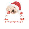 Pudel Weihnachtsmarkt