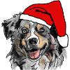 Australian Shepherd Aussie Christmas