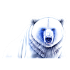 Blau Weiß Eisbär