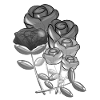 Bouquet Symbol Nature