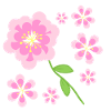 Pink Flower Pattern