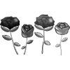 Four flowers plant nature