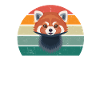 Røde pandaer Rød panda Bambus Asia Rød pandabjørn