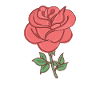 Rose Red Rose Hand-drawn