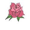 Rose Red Rose Hand-drawn