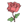 Rose Red Rose Hand-drawn
