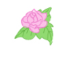 Rose Red Rose Hand-drawn