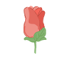 Rose Red Rose Hand-drawn