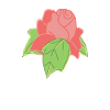 Rose Red Rose Hand-drawn
