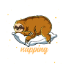 Sleeping Sloth Official Napping