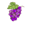 Grapes Grapes