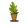 Plante d’intérieur