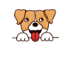 Dog face cute