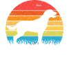 Chesapeake Bay Retriever