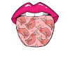 Sphynx Cat Tongue