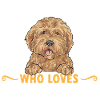 Goldendoodle Doodle Chien