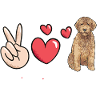 Goldendoodle Doodle Chien