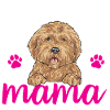 Goldendoodle Doodle Chien