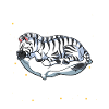 Sleeping Zebra I Nap Periodically