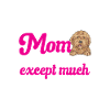 Goldendoodle Doodle Chien