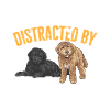 Goldendoodle Doodle Dog