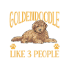 Goldendoodle Doodle Chien