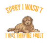 Goldendoodle Doodle Chien